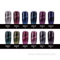 CCO High Quality colored crystal cat eye Gel Polish Nail for lady beauty